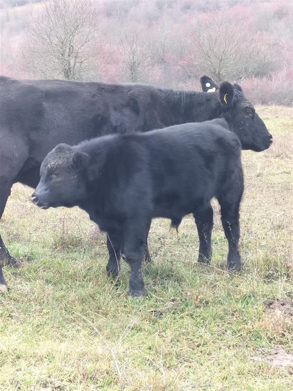 Danke an unsere Community – Für Vertrauen, Austausch und ein bewusstes Miteinander