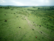 Die Karpaten – Wo Natur, Geschichte und Genuss aufeinandertreffen