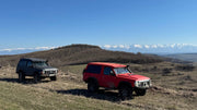 Sommerweide in Siebenbürgen
