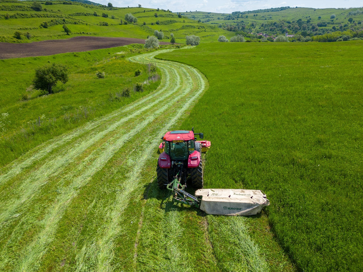 Unterschied Heu vs Silage