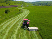 Unterschied Heu vs Silage