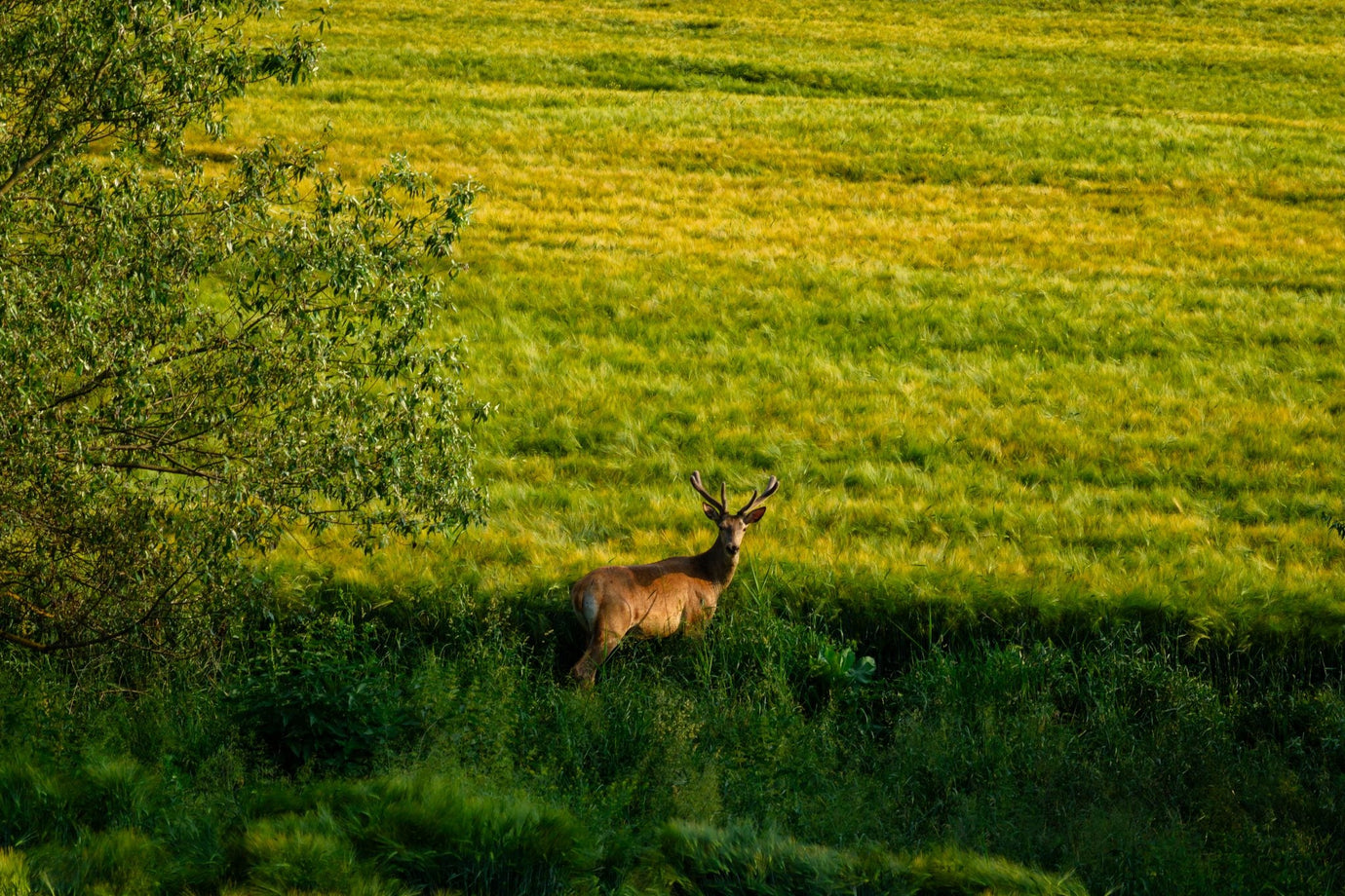 Regenerative Landwirtschaft – was das ist und warum es zählt