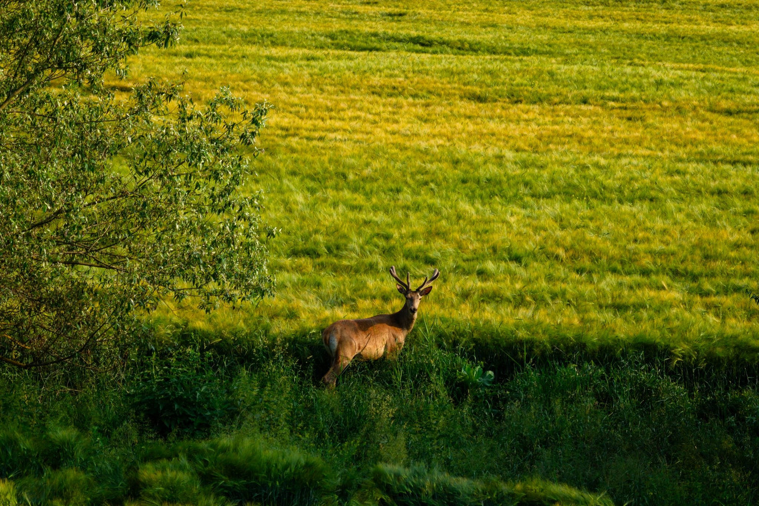 Regenerative Landwirtschaft – was das ist und warum es zählt